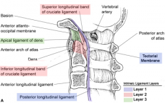 intrinsic lig, located within the spinal canal, provide most of the lig stability.  transverse atlantal lig is the strongest component, connecting the post odontoid to the ant atlas arch, inserting laterally on bony tubercles.  odontoid lig (alar ...