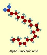 LInoleic acid