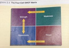 Assessment of an organization's strengths, weaknesses, opportunities, and threats.