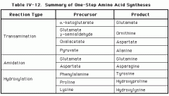Transamination of the alpha amino to keto acid
