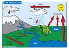 The Water Cycle: 