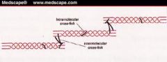 intermolecular cross linkage
