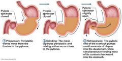 The pylorus of the stomach, which holds about ___ of chime, acts like a meter that allows only ____________________ to pass through the pyloric sphincter.