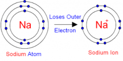 positively or negatively charged particles by gaining or loosing electrons.