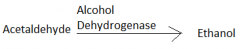Why? 
a.All of the alcohol dehydrogenase molecules are bound to acetaldehyde molecules so the enzyme is saturated.
b. At high concentrations of acetaldehyde, the activation energy of the reaction increases.
c. The enzyme is no longer specific for ...