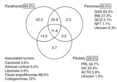 MEN1
- Parathyroid adenoma (>90%)
- Pituitary adenoma (30-40%)
- Enteropancreatic tumors (30-70%)