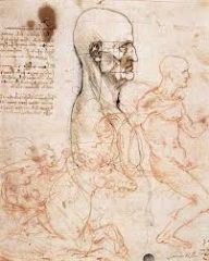 Leonardo da Vinci. Facial Proportions of a Man in Profile