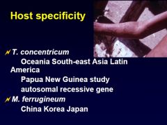 T. concentricum Infections among Europeans are rare. Distribution is restricted to the Pacific Islands of Oceania, South East Asia and Central and South America.