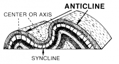 B. Syncline: linear, strata normally dip toward axial center, youngest strata in center.