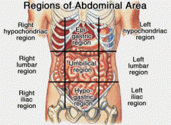 -right hypochondrium
-epigastrium
-left hypochondrium
-right lumbar
-umbilical
-left lumbar
-right iliac (inguinal)
-pubic (hypogastrium)
-left iliac (inguinal)