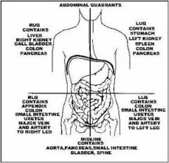 -right kidney
-colon
-small intestines
-ureter
-appendix