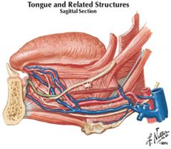 lingual nerve