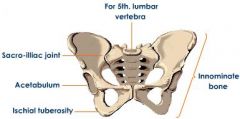 anterior & lateral to pelvic space
(hip bones)