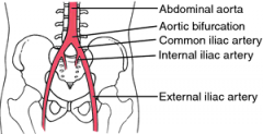 EIA (exteral) and IIA (internal) (aka 
hypogastric A.)