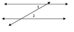 Between the parallel lines, but on opposite sides of the transversal.


Equal to each other if the lines are parallel.