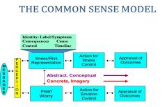 A model which is used in identifying the content of health threat representations and for understanding how thoughts and associated emotions motivate protective behaviour