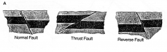 A. Dip-slip faults: Net slip vector parallels dip direction (within 10°). 


1. Normal Fault


2. Thrust Fault 


3. Reverse Faults 
