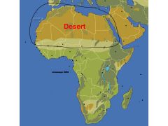 Sahara Desert
Kalahari Desert
Gobi Desert
Rub al-Khali