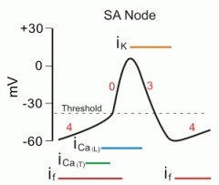 In pacemaker action potential, what is involved in Phase 4?