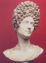 Portrait of a Flavian Woman, Early Empire, 100 CE
focus on modern fashion, idealized beauty of women, not so much the greek goddess ideal