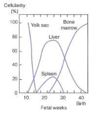 1. Yolk sac (3-10 wks)

2. Liver (6wks to birth)

3. Spleen (15-30 wks)

4. Bone marrow (22 wks to adult)

"Young Liver Synthesizes Blood"