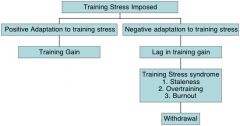 Sylva’s Negative Training Stress Response Model