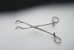 Duval Lung Forceps (lung forceps)