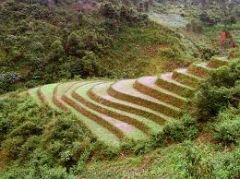 How did the Incan's farm in the mountains?