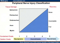 How to classify Nerve injuries:
