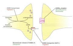 1. Enhance Na+ channel inactivation
- reduce firing frequency of neurons
2. Inhibit excitatory amino acid release
- block Ca2+ or K+ channels
3. Enhance GABA action
4. Inhibit GABA breakdown
5. Inhibit GABA uptake