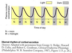 Involvement of clock proteins in suprachiasmatic nucleus of hypothalamus
+
Input from pineal gland melatonin

cortisol lowest at midnight
- and highest just before waking
- bright light is the most useful thing when you are jet lagged