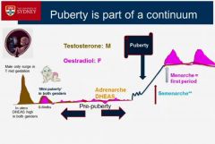 we are born to go through puberty immediately but the brakes are always put on
- girl babies have breast development
- boys get testies enlarged then receed