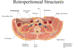 Retroperitoneal structures (structures posterior to peritoneum) include:
suprarenal glands, kidneys, ureters, pancreas (except tail), duodenum (except first few cms), ascending &
descending colon, abdominal aorta, IVC & all associated lymph node...