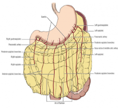 Greater omentum is the gastrophrenic, gastrolienal and gastrocolic ligaments collectively

Gastrocolic part is most often simply called the greater omentum It folds back on itself to form an apron-like structure (4 layers of peritoneum) “Polic...