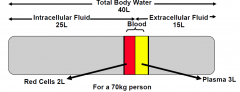 Regulate the volume and composition of body fluids within narrow limits
–Total body water ie 58% of body mass
–Intracellular (5/8ths) and extracellular (3/8ths) body fluids