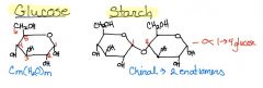 Draw Glucose & Starch