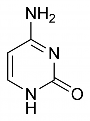 What nitrogenous base is this?