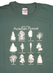 Acadian forest trees? (not on exam??)