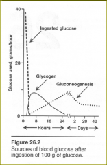 Liver in fasting
Carbohydrate metabolism - liver