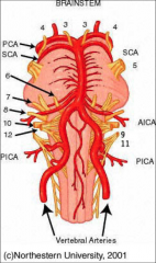 Trigmenial nerve is affected, this is supplied by Superior Cerebellar Artery