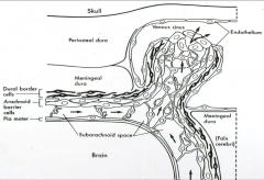 projections of arachnoid that pierce meningeal layer of dura and stick into the sinus.  one way value when pressure of CSF > that in venous system, movement of CSF into the venous sinuses.  in the supratentorial compartment
