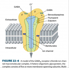 GABA(A) and GABA(B) receptor subtypes.  GABA(A) is ionotropic and more important clinically.  GABA(B) is metabotropic.  
activation of GABA receptor = CNS inhibition.