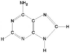 What nucleotide is this? Is it Purine or pyrimidines?