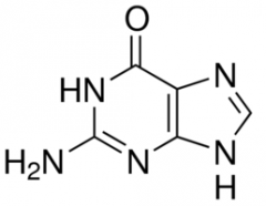 What nucleotide is this? Is it Purine or pyrimidines?