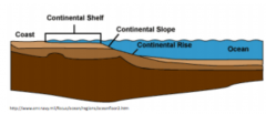 Gently sloping part of the continent under shallow water (>= 500 m)


Forms as a result of a series of normal faults that cause the continental slope to bend


Underlain by thinned continental crust