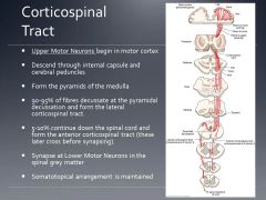 most of what we focus on is in the lateral corticospinal tract. (medial is a little bit later)