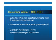 - UV fluorescence
- %10 chitin and cellulose binding for the fungal wall.
- sensitive