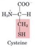 1. 
2. CH2 S ( responsible for disulfide bonds)
3. Polar
4. Cys
5. C