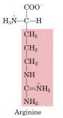 1. Positive
2.  3CH2 NH CNH2NH2, three CH2 connected to an NH to a C which is = to a NH2+ and an NH2
3. 
4. Arg
5. R