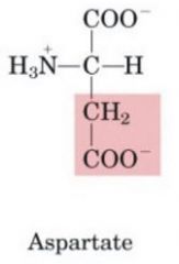 1.Negative
2. CH2 connected to a Carboxylic acid group (COO-)
3.
4. Asp
5. D